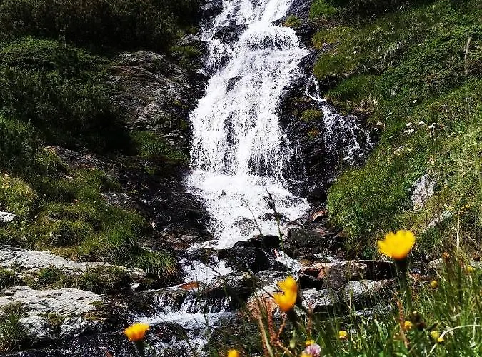 贝格维尔特宾馆 3*